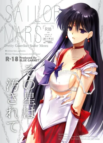 [Serizawa Katsumi] Sono Hoshi Ha Yogosarete 1 (Sailor Moon)